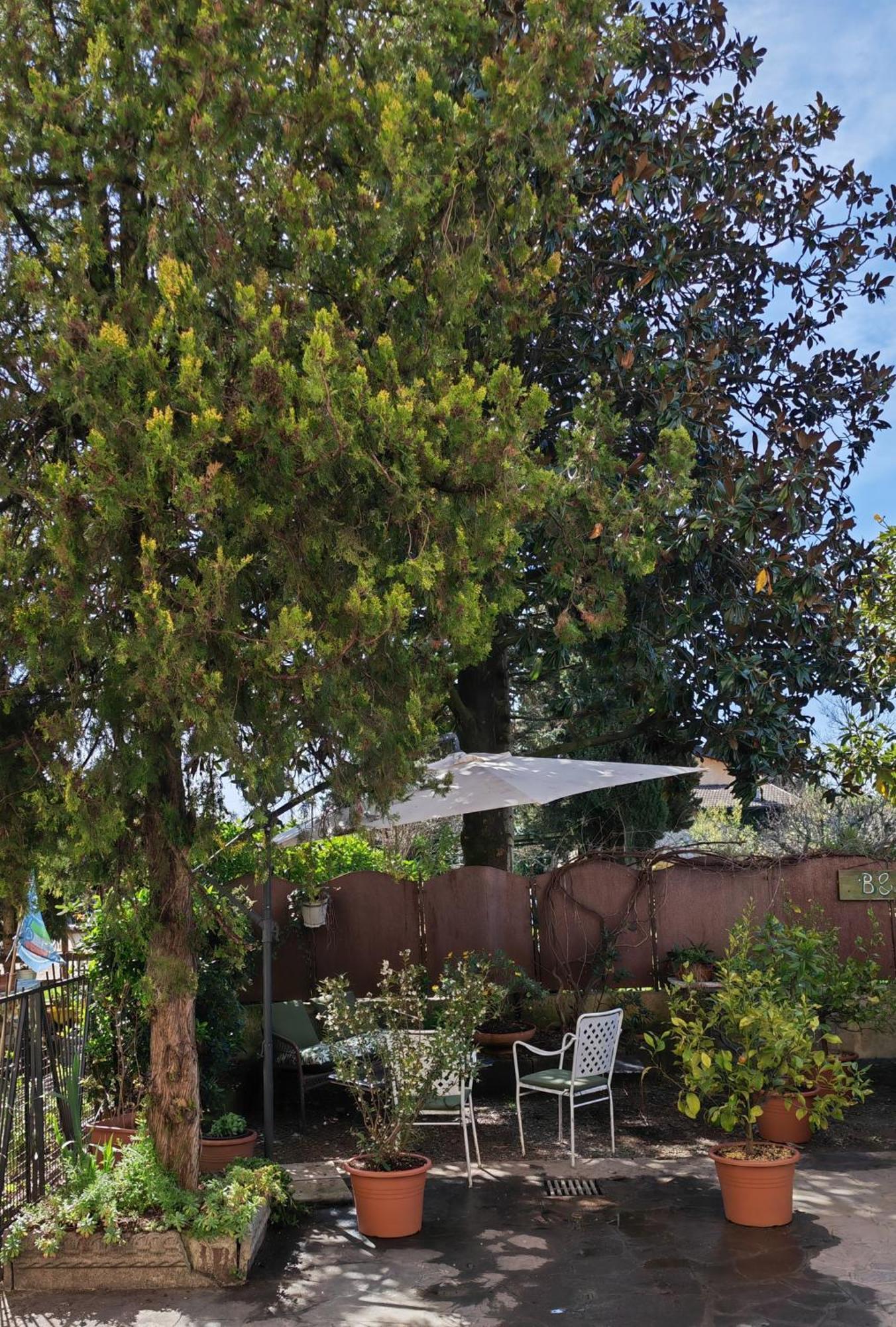 B&B Lamagia Di Corte Moronati Sirmione Dış mekan fotoğraf